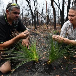 Aboriginal Land Council NSW: CPSU finalises Log of Claims for your new Enterprise Agreement