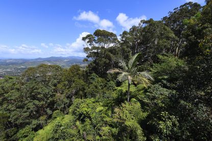 Forestry Corporation NSW commits to three per cent administrative pay rise from 1 July