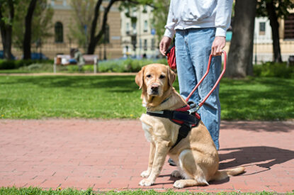 Register your interest in the PSA CPSU NSW Disability Conference